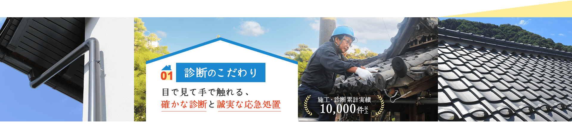 01 診断のこだわり 目で見て手で触れる、 確かな診断と誠実な応急処置
