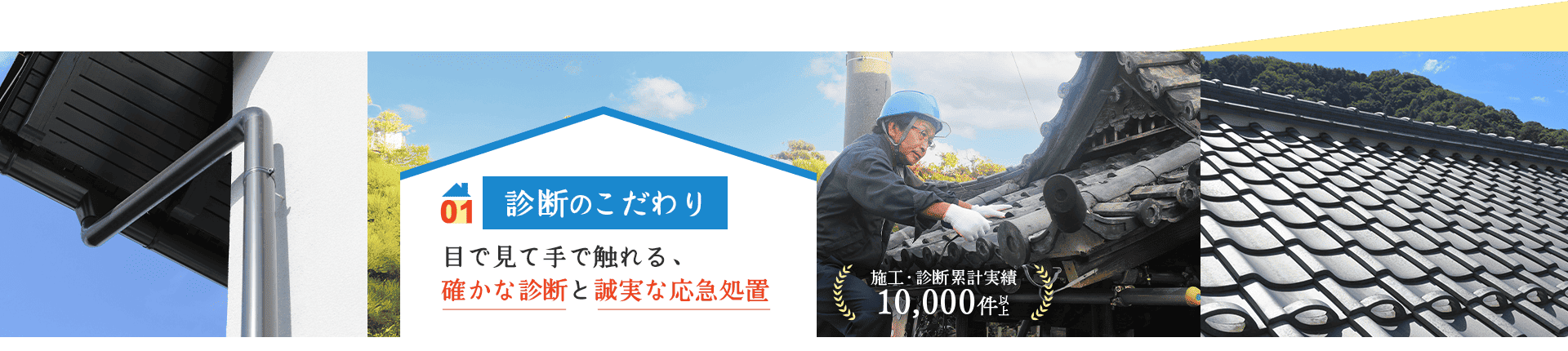 01 診断のこだわり 目で見て手で触れる、 確かな診断と誠実な応急処置