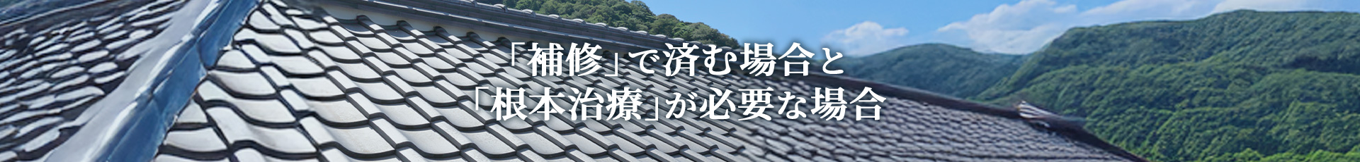 「補修」で済む場合と「根本治療」が必要な場合について