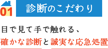 診断のこだわり 目で見て手で触れる、確かな診断と誠実な応急処置
