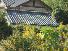 漆喰　西尾市　吉良町　屋根　瓦　修理　葺き替え　板金　樋　太陽光発電