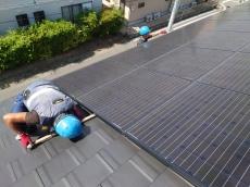 太陽光パネル下　巣　糞　撤去中