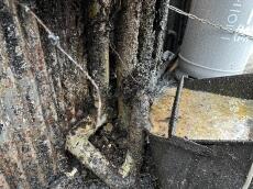 外壁　換気扇　廻り　外壁　油　こびりついている　塗装