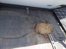 太陽光パネル　脱着　屋根　鳩　糞　巣　大量