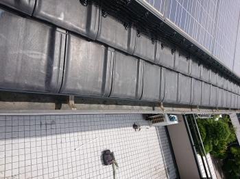 雨樋の中の鳩糞も清掃しました