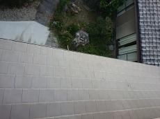 下屋根　鳩糞　落ちている