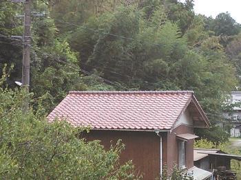 変換 ～ NCM_0280.jpg