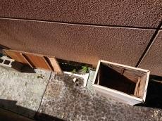 塗装前　建物　廻り　不要物　サービス　撤去予定