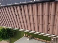 施工前　太陽光パネル下　鳩　巣　糞