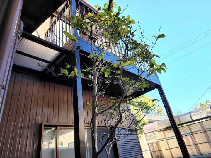 外壁　アルミバルコニー　取替え　雨垂れ　天井パネル