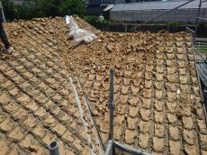 太陽光発電　鳩　塗装カバー工法　西尾市　幡豆町　吉良町　一色町　屋根　瓦　修理　葺き替え　板金　樋　漆喰