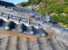 屋根　棟土　根　草　生える
