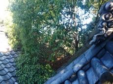 修理　葺き替え　板金　樋　漆喰　太陽光発電　西尾市　吉良町　幡豆町　一色町　屋根　瓦