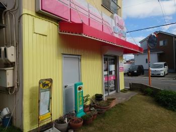 庇　テントシート　新しい　外観　明るい　仕上がり