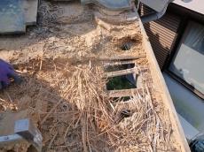 ズレ　落ちている　瓦　捲り　野地　穴　抜ける