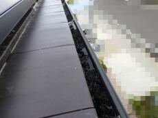 屋根上　瓦　糞　転がる　雨樋　軒樋　入る　詰まる