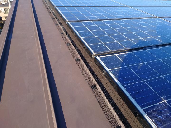 太陽光パネル　鳩被害　糞　巣　清掃　対策工事
