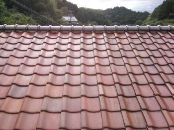 変換 ～ NCM_0271.jpg