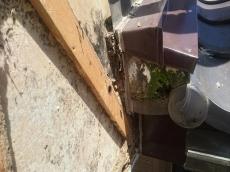 ｶﾗｰﾍﾞｽﾄ　塗装　ｶﾊﾞｰ工法　樋　西尾市　吉良町　一色町　幡豆町　屋根　瓦　板金　葺き替え　修理　漆喰　太陽光発電　鳩