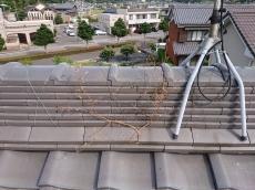 棟　のし瓦　隙間　草　生える　雨水　侵入　原因　屋根