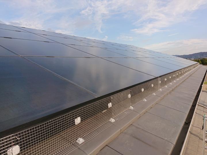 屋根　太陽光パネル　鳩対策　工事　完了
