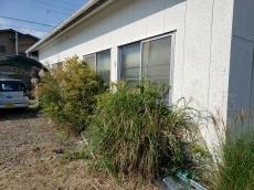 建物　東側　木草　生い茂る　工事前　草刈り