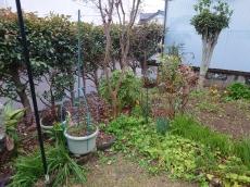 外構リフォーム　施工前　お庭　様子