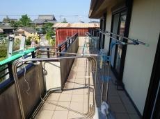 ベランダ　鳩糞　鳩巣　落ちている