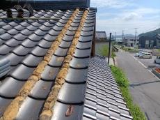 ツボ丸瓦　一旦　捲り