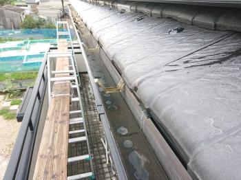 雨樋　ベランダ　鳩糞　キレイ　清掃　完了