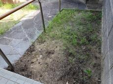 庭　土部分　草　生えている
