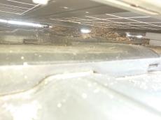 ﾊﾟﾈﾙ下に鳩の巣があり卵もあります