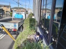 足場設置　塗装　作業　ｽﾍﾟｰｽ　確保　建物廻り　木枝　カット