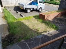 花壇　庭　草　生えている
