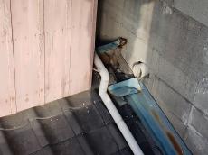 下屋根　壁際　水切板金　剥がれ