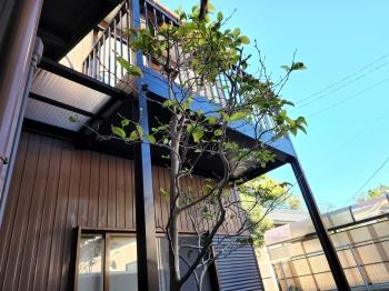 アルミバルコニー　取替え工事　完了