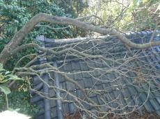 漆喰　太陽光発電　西尾市　吉良町　幡豆町　一色町　屋根　瓦　修理　葺き替え　板金　樋