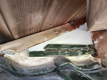 屋根　屋根裏　侵入　可能性　箇所　全て　塞ぎ　瓦　漆喰