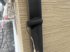 雨樋　竪樋　塗装中