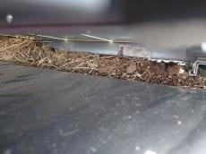 太陽光ﾊﾟﾈﾙ下　瓦　鳩糞　大量