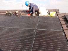 まずは太陽光パネル下に入り込んでいた鳩の巣を撤去し、糞などの汚れを丁寧に清掃しています。安全対策を徹底しながら、屋根全体を衛生的な状態に戻します。