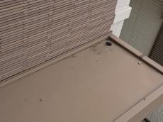 玄関上の庇には、鳩が運び込んだ枝やゴミが溜まっていました。堆積すると雨樋の詰まりや雨漏りの原因にもつながります。