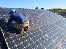 太陽光パネル下の清掃を行い、蓄積した汚れや巣の残骸を丁寧に除去しました。併せてパネル表面も拭き上げ、発電効率の維持にもつながるよう丁寧に仕上げています。