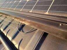 ステンレス製ネットで鳩被害を根本解決。太陽光パネルを長期に守る安心施工。