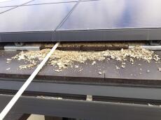 太陽光パネル下に溜まった鳩糞を丁寧に清掃しています。専用の器具を使い、細部までしっかり除去していきます。