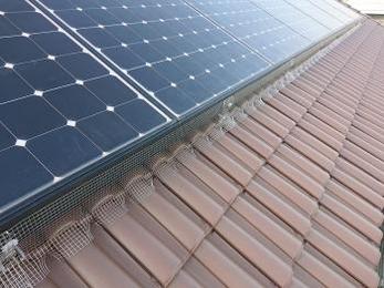 豊田市 K様邸 太陽光パネル鳩対策工事 事例
