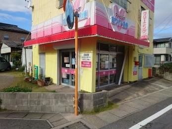 西尾市 K様邸 外壁一部塗装・庇ﾃﾝﾄ張替え・ｼｬｯﾀｰ取付工事