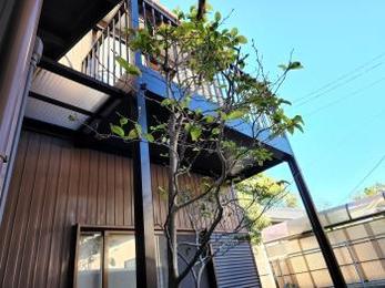 西尾市 S様邸 アルミバルコニー取替え工事 事例