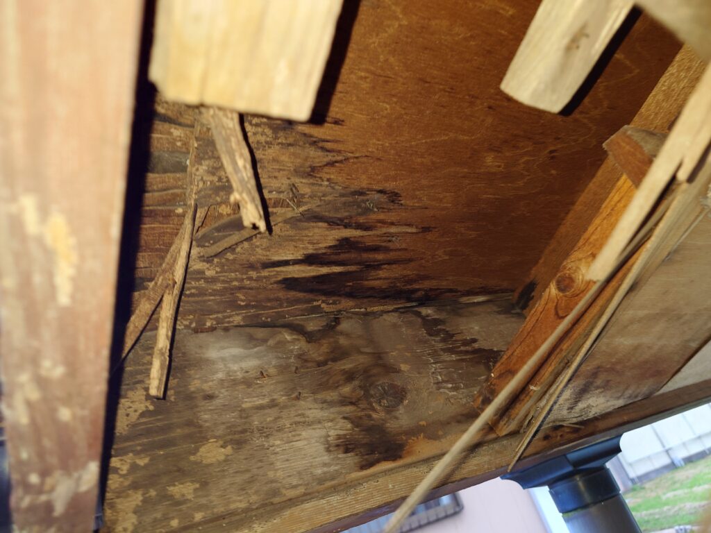 雨漏りで野地が腐っています。