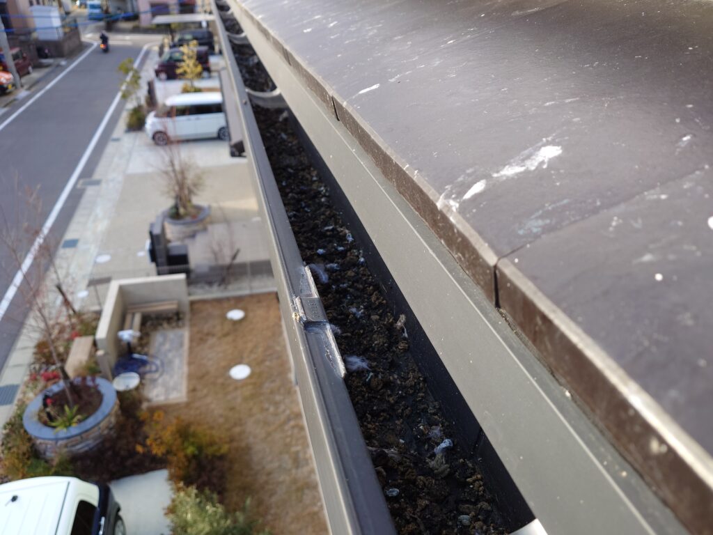 屋根上から落ちてきた糞が雨樋(軒樋)に溜まってしまっています。